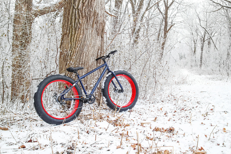 Fat Bike