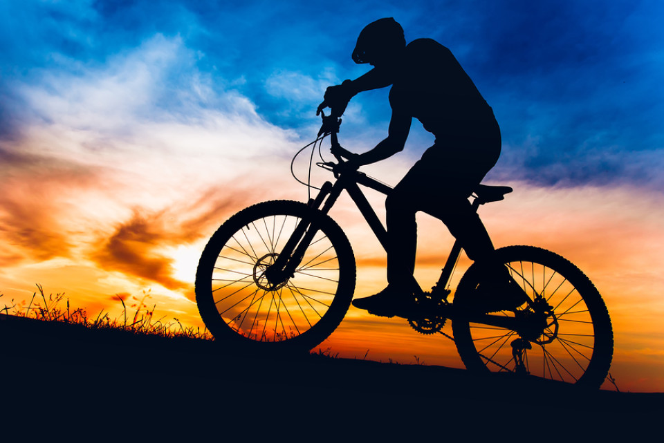 Bulls Mountainbike