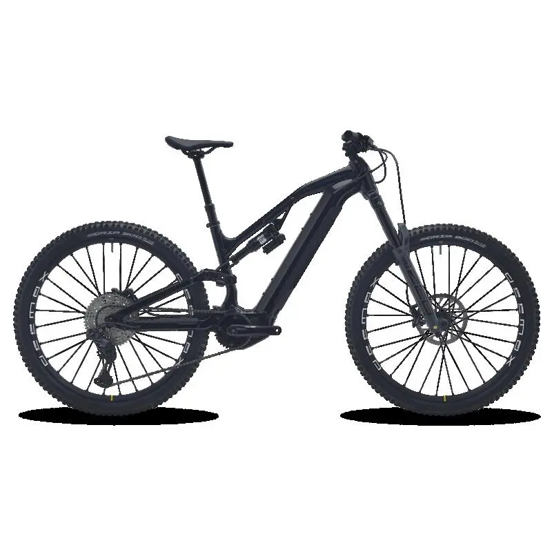 E-Mountainbike All Mountain 29 Zoll E-Feel 900 S Team Edition