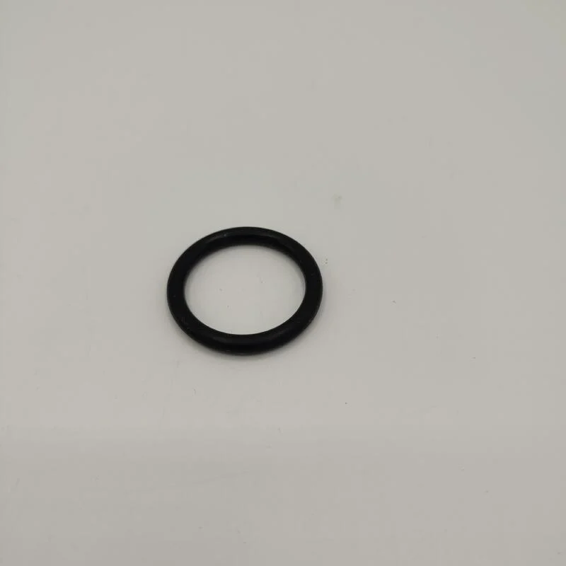 O-Ring für Standpumpe FLP100