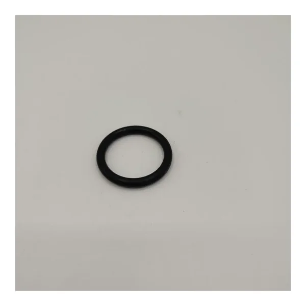 O-Ring für Standpumpe FLP100