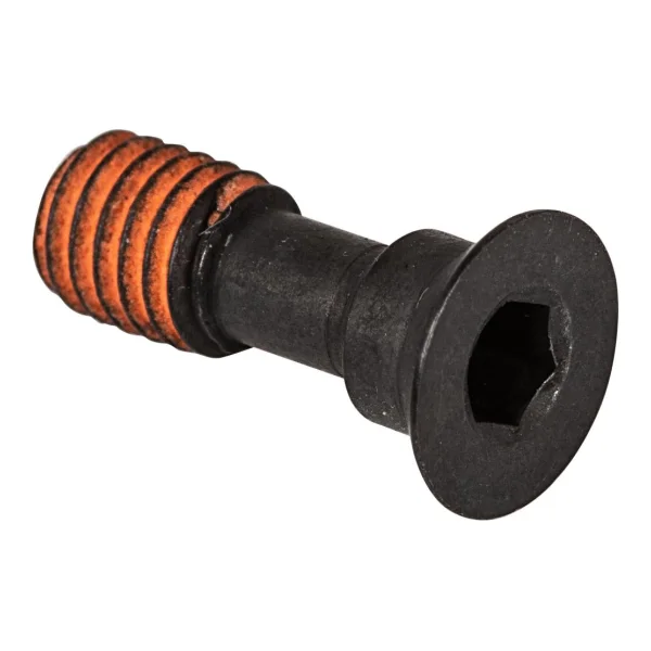 SHIMANO Schaltrollenschraube für RD-M972 2 Stück - Ersatzschrauben, 2 g, Y5WJ21000