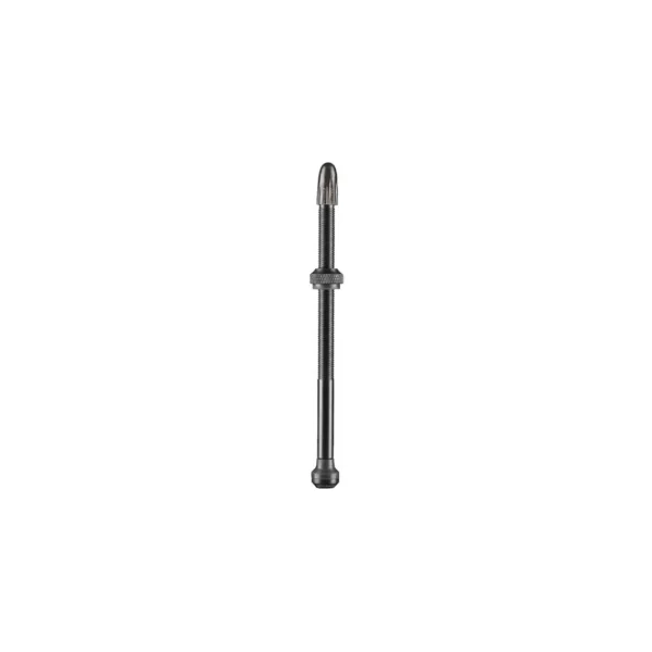 Schwalbe Tubeless Ventile - SV100